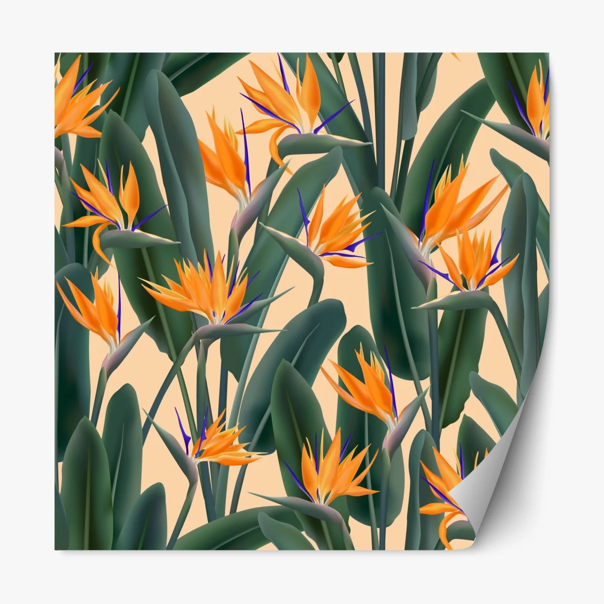 Repositionierbarer Aufkleber tropisches muster mit strelitzie – Wallnifity®