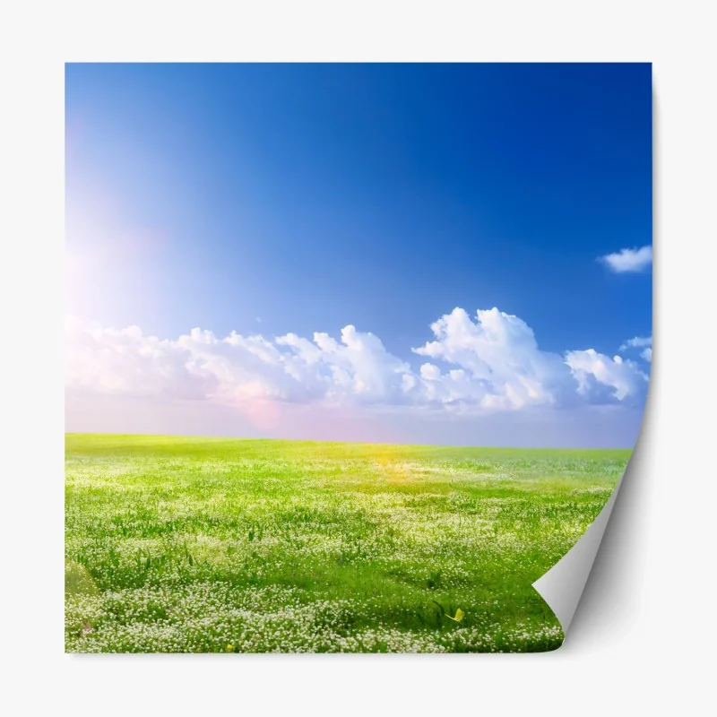 Repositionierbarer Aufkleber sonnige frühlingswiese unter blauem himmel