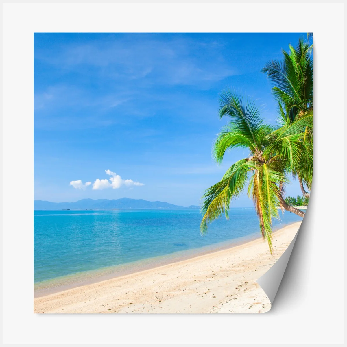 Repositionierbarer Aufkleber tropischer palmenstrand – Wallnifity® Repositionierbarer Aufkleber tropischer palmenstrand – Wallnifity®