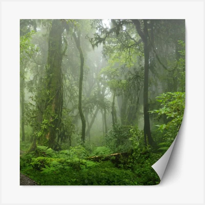 Repositionierbarer Aufkleber mystisches porträt in blau und gold – Wallnifity®