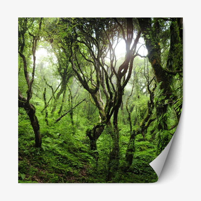 Repositionierbarer Aufkleber hirsch und kitz im sonnendurchfluteten wald – Wallnifity®