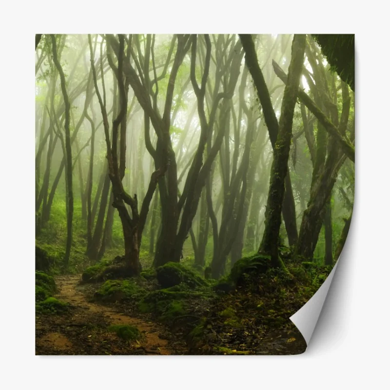 Repositionierbarer Aufkleber vereister see im dämmerlicht mit waldspiegelung – Wallnifity®