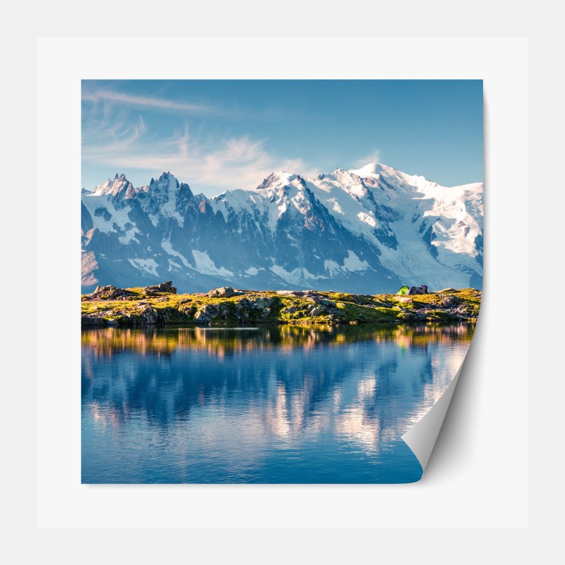 Repositionierbarer Aufkleber hirsch und kitz im sonnendurchfluteten wald – Wallnifity®