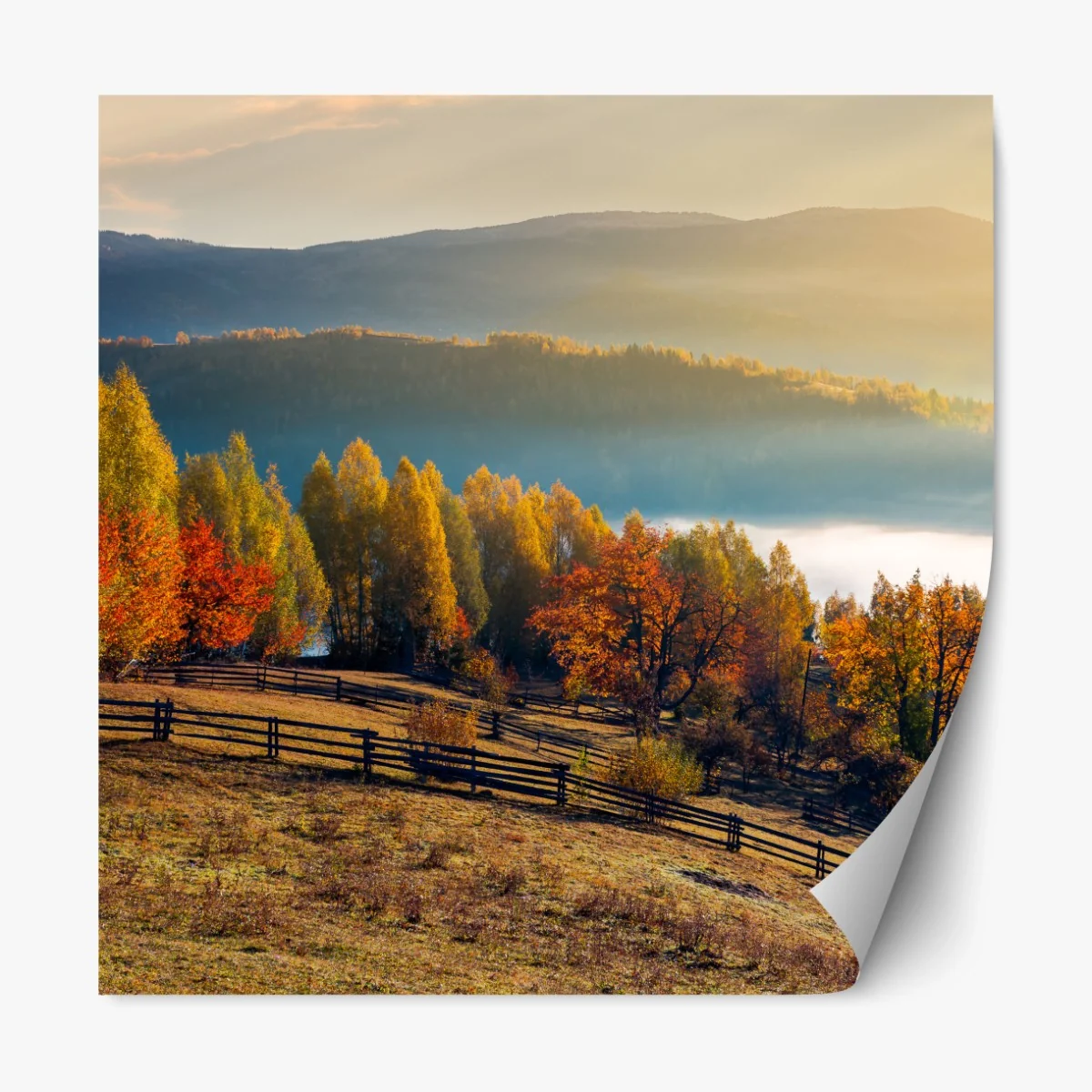 Repositionierbarer Aufkleber nebliger herbstlicher sonnenaufgang auf dem land – Wallnifity®