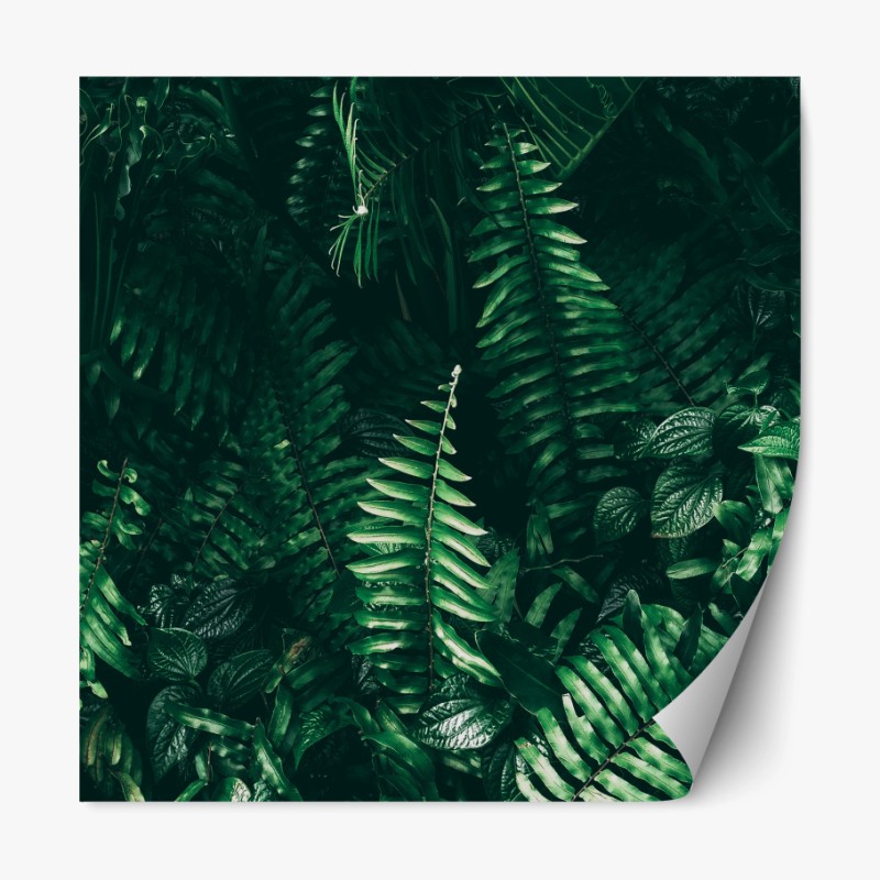 Repositionierbarer Aufkleber nebliger bergsonnenaufgang mit spiegelung – Wallnifity®