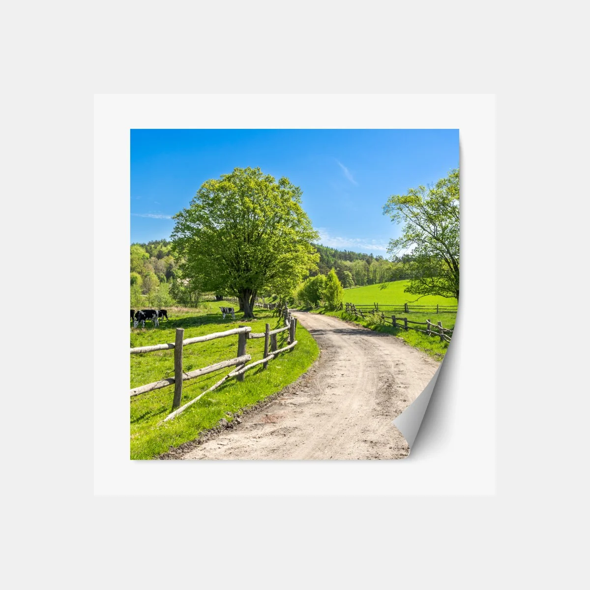 Repositionierbarer Aufkleber sonnige landstraße durch grüne wiesen – Wallnifity® Repositionierbarer Aufkleber sonnige landstraße durch grüne wiesen – Wallnifity®