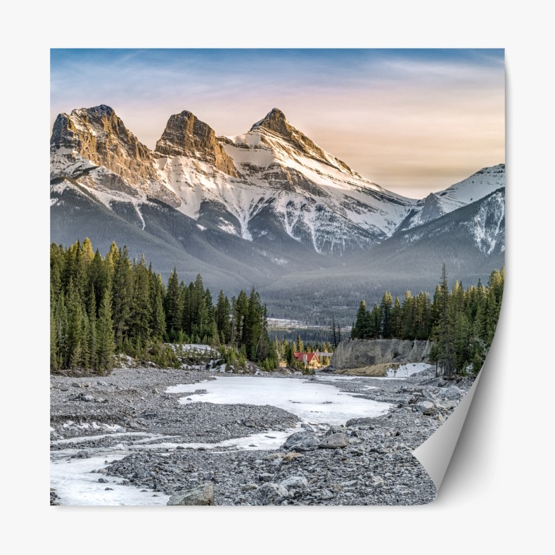 Repositionierbarer Aufkleber hirsch und kitz im sonnendurchfluteten wald – Wallnifity®