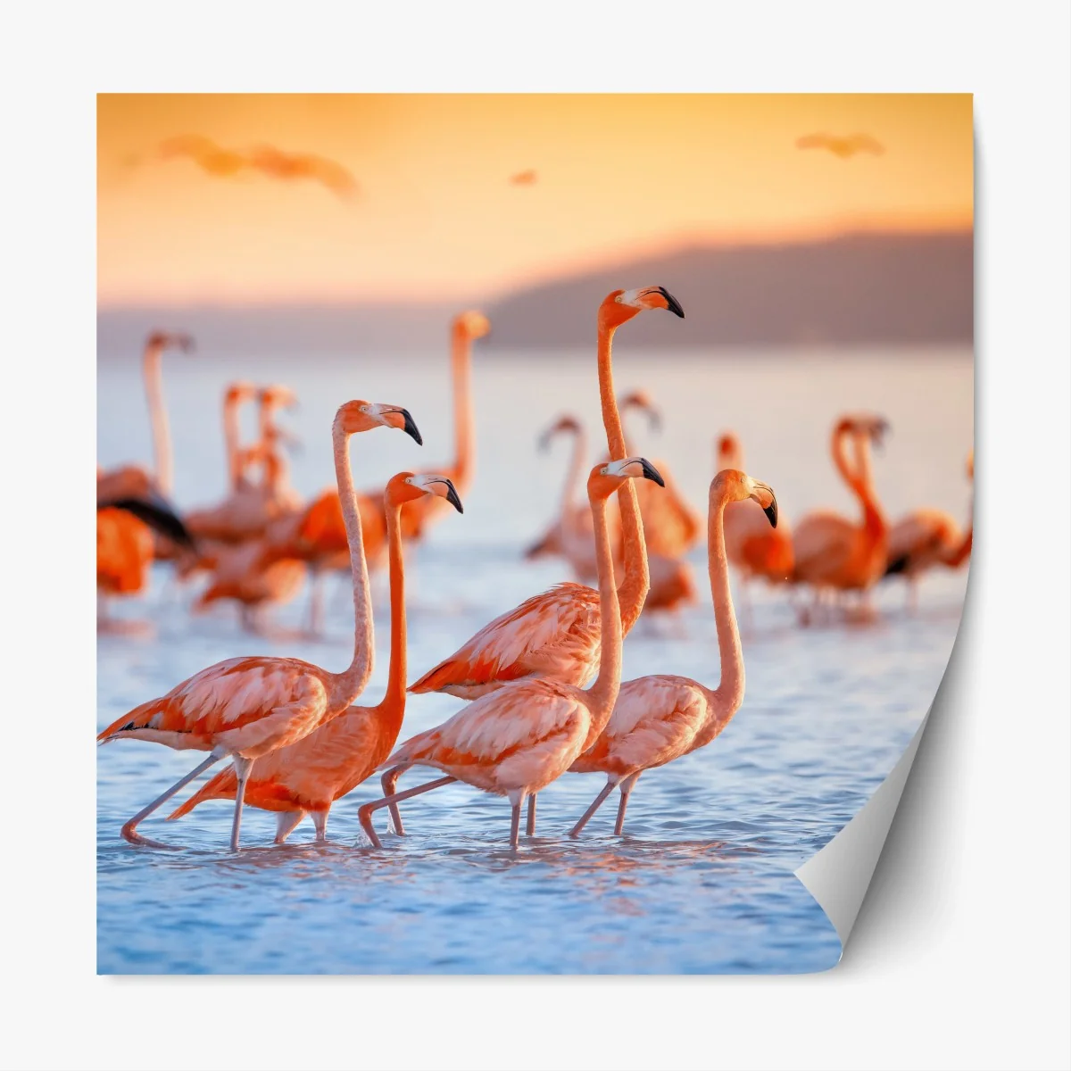Repositionierbarer Aufkleber rosa flamingos bei sonnenuntergang – Wallnifity®