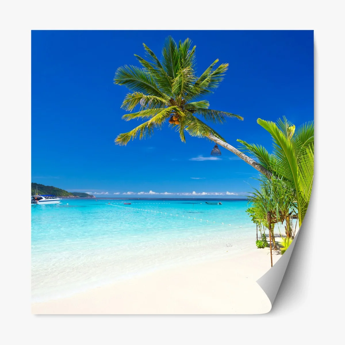 Repositionierbarer Aufkleber tropischer strand in Thailand – Wallnifity®