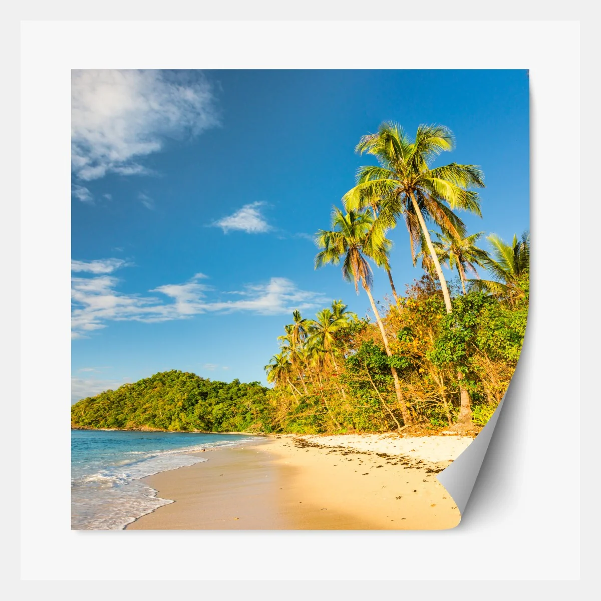 Repositionierbarer Aufkleber goldener tropischer strand bei sonnenuntergang – Wallnifity® Repositionierbarer Aufkleber goldener tropischer strand bei sonnenuntergang – Wallnifity®