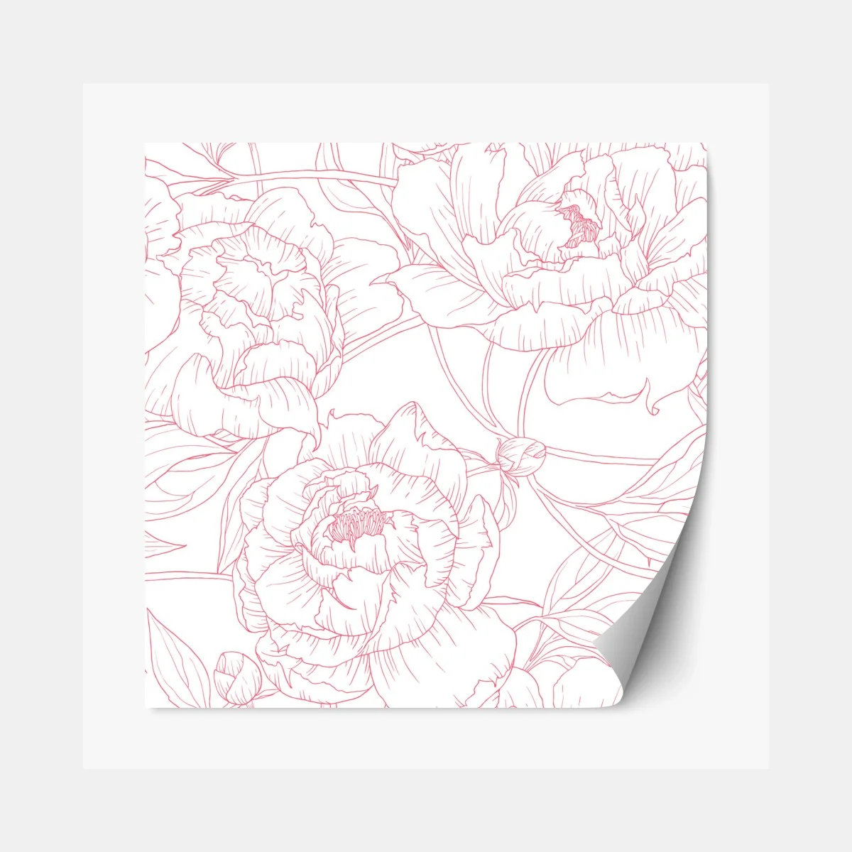 Repositionierbarer Aufkleber zartes rosa paeonien-line-art-muster – Wallnifity®