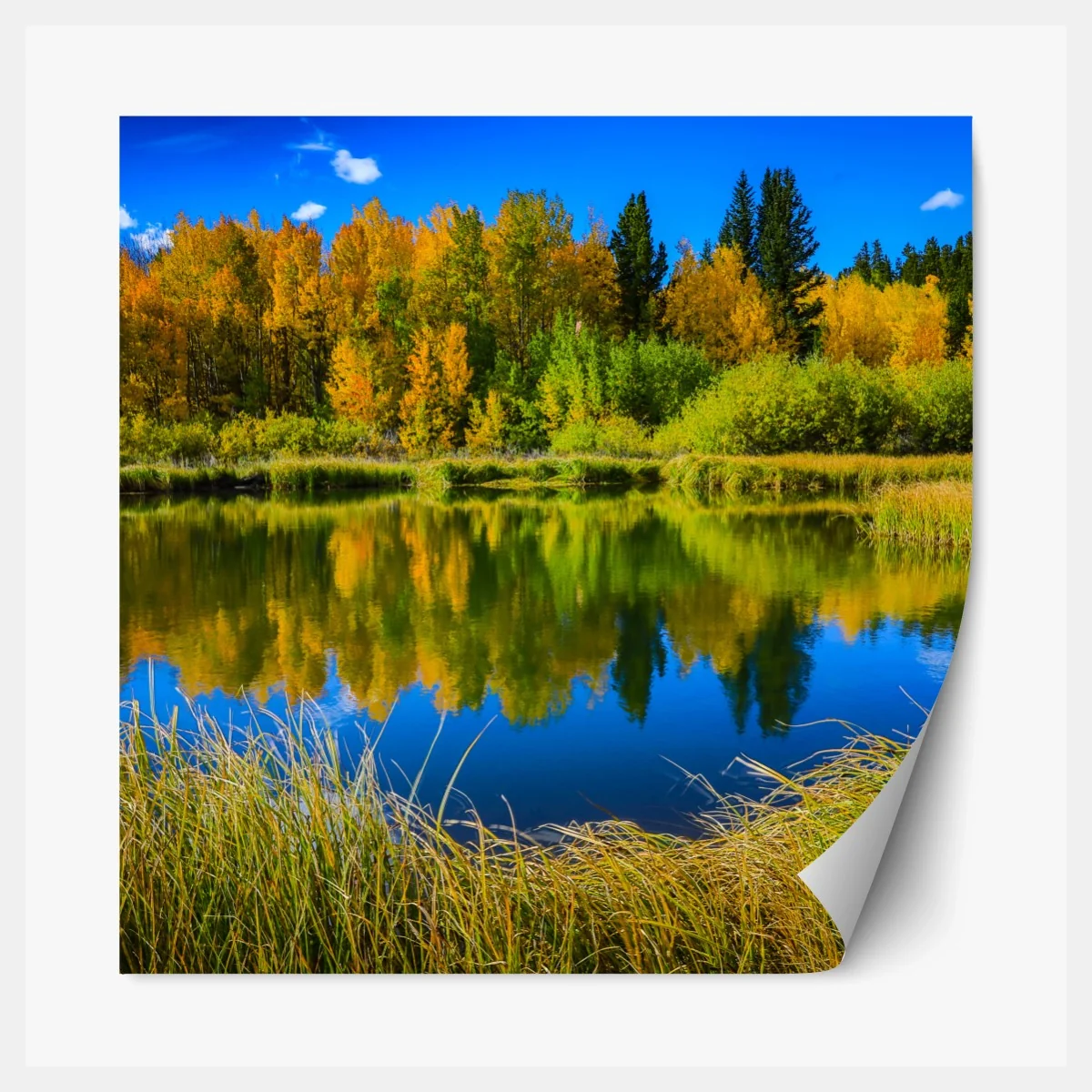 Repositionierbarer Aufkleber herbstbäume spiegeln sich in einem ruhigen see – Wallnifity® Repositionierbarer Aufkleber herbstbäume spiegeln sich in einem ruhigen see – Wallnifity®