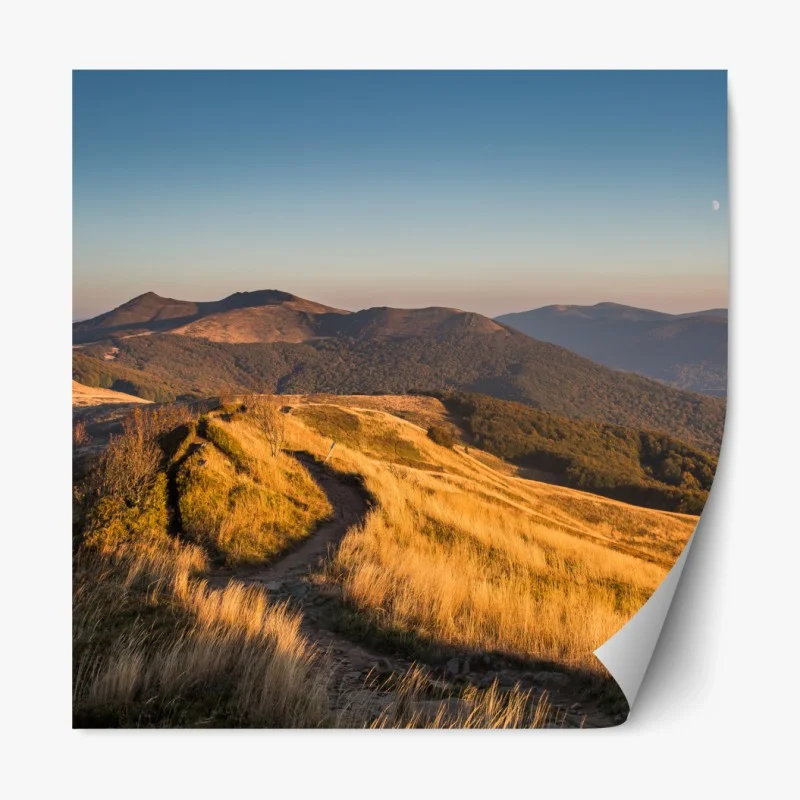 Repositionierbarer Aufkleber goldenes art deco kreismuster – Wallnifity®