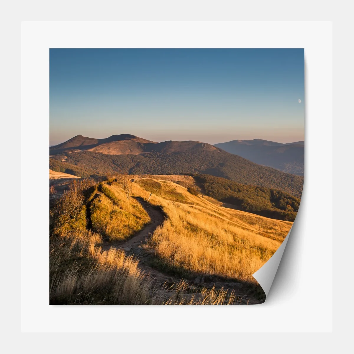 Repositionierbarer Aufkleber goldener bergrücken bei sonnenuntergang – Wallnifity® Repositionierbarer Aufkleber goldener bergrücken bei sonnenuntergang – Wallnifity®