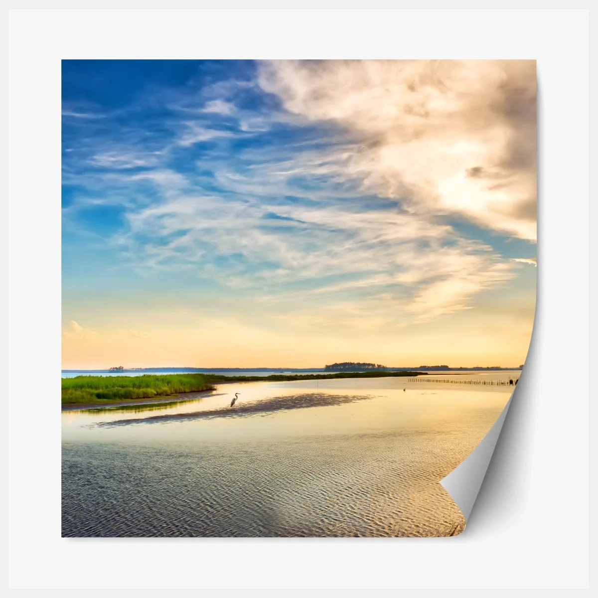 Repositionierbarer Aufkleber graureiher in der Chesapeake-Bucht bei sonnenuntergang – Wallnifity® Repositionierbarer Aufkleber graureiher in der Chesapeake-Bucht bei sonnenuntergang – Wallnifity®