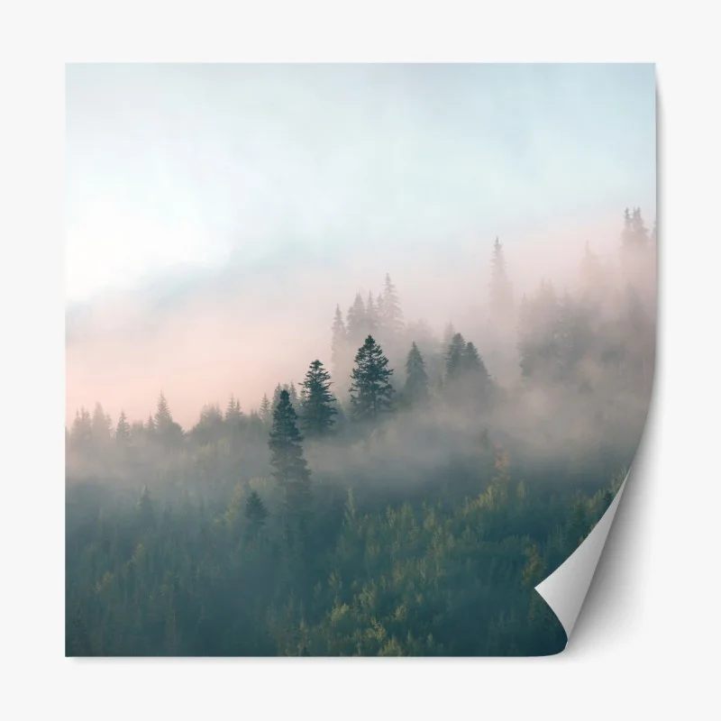 Repositionierbarer Aufkleber nebliger morgenwald
