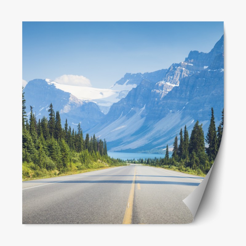 Repositionierbarer Aufkleber goldenes blumenornament auf nachtblauem hintergrund – Wallnifity®