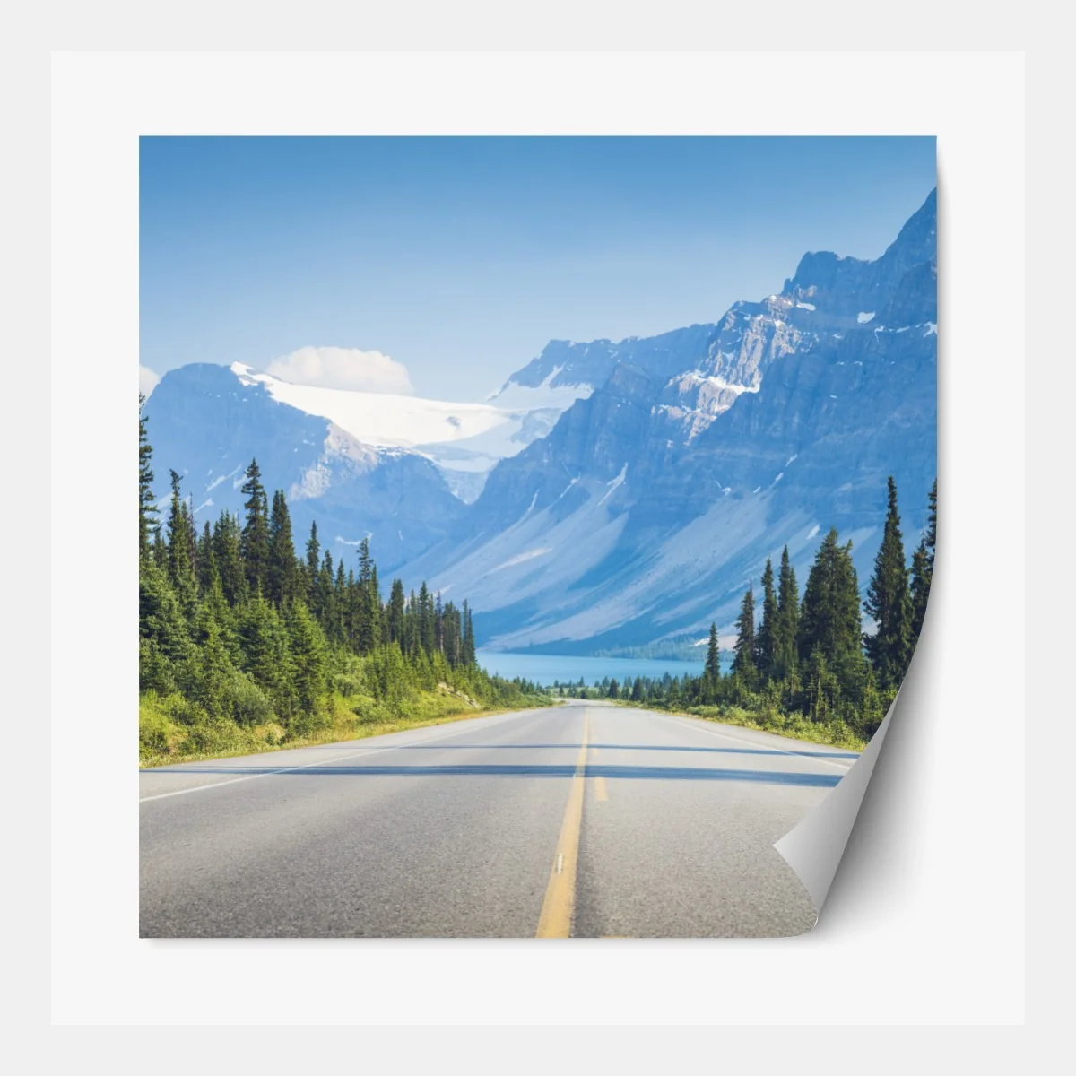 Repositionierbarer Aufkleber straße durch kiefernwald zu gletschersee und bergen – Wallnifity® Repositionierbarer Aufkleber straße durch kiefernwald zu gletschersee und bergen – Wallnifity®