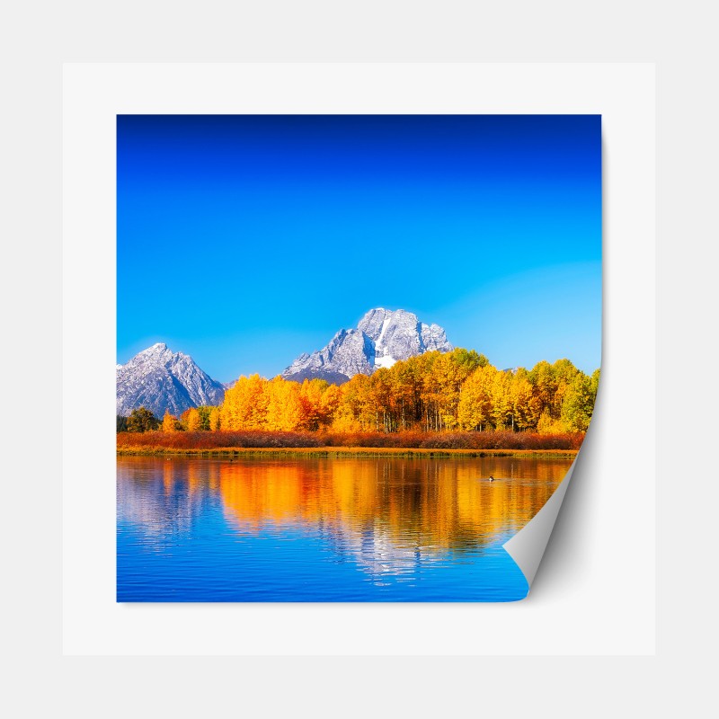 Repositionierbarer Aufkleber zartes blumenmuster in beige – Wallnifity®