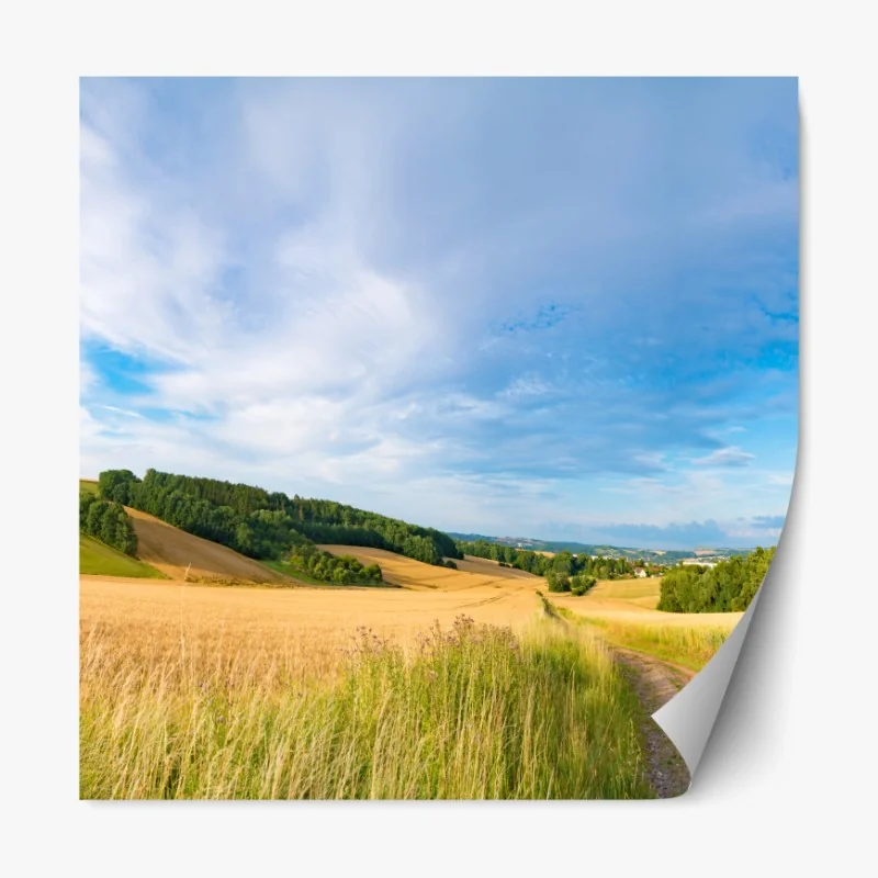 Repositionierbarer Aufkleber morgendliche weizenlandschaft in Kansas