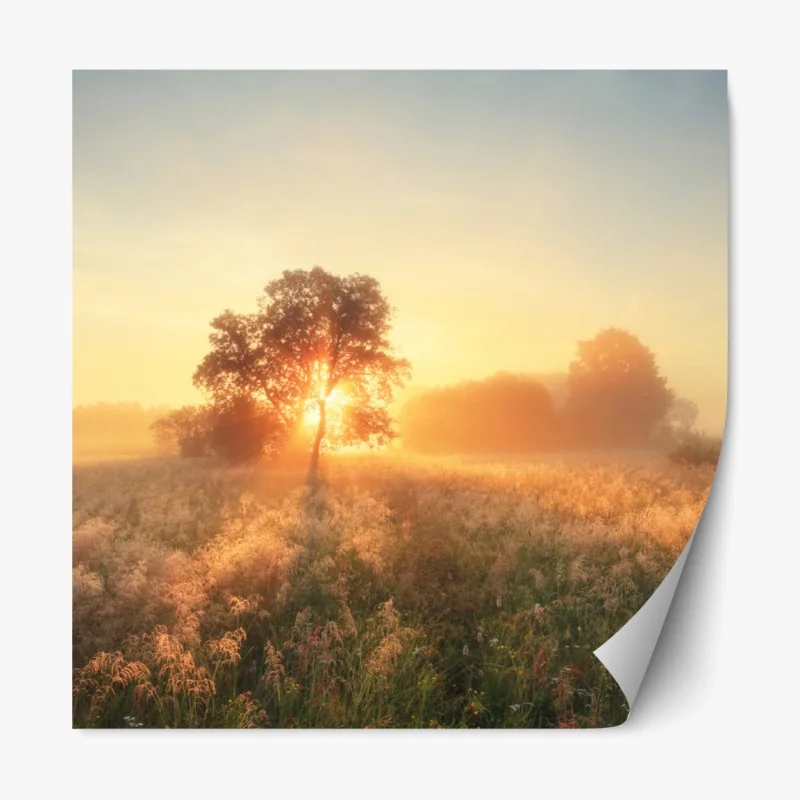 Repositionierbarer Aufkleber goldener sonnenaufgang über nebliger wiese