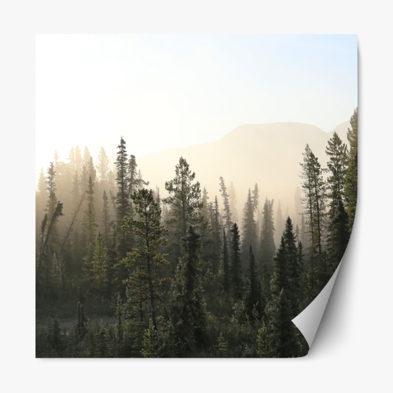 Repositionierbarer Aufkleber Dubai marina skyline bei dämmerung – Wallnifity®