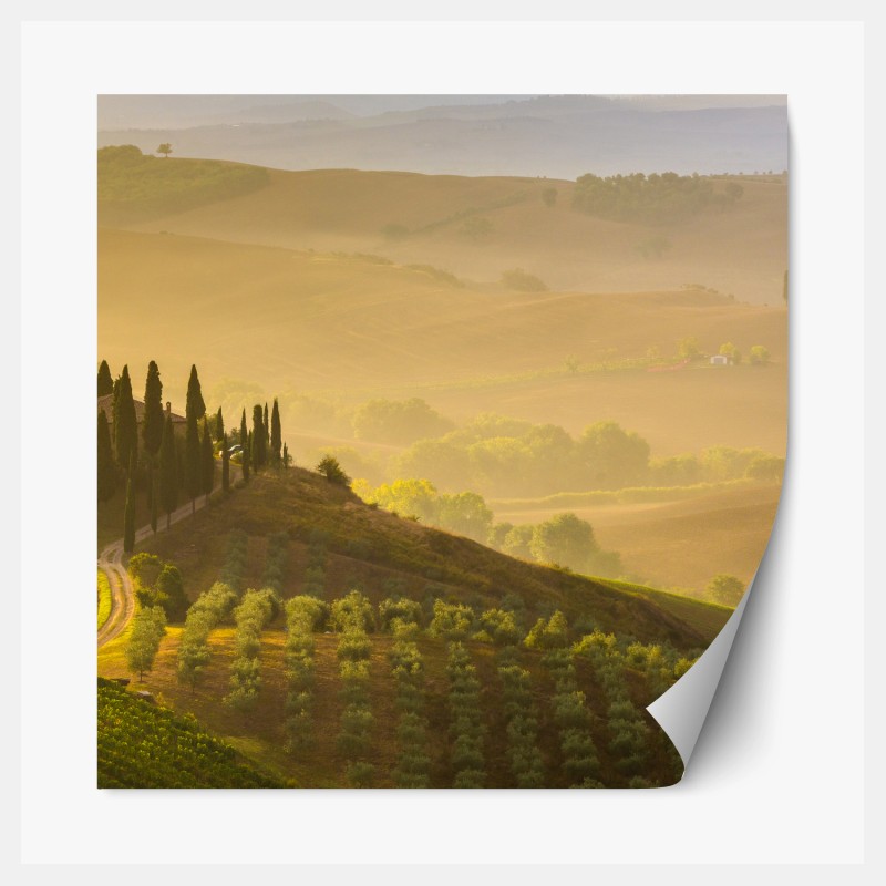 Repositionierbarer Aufkleber leuchtendes zitrus geometrisches muster – Wallnifity®