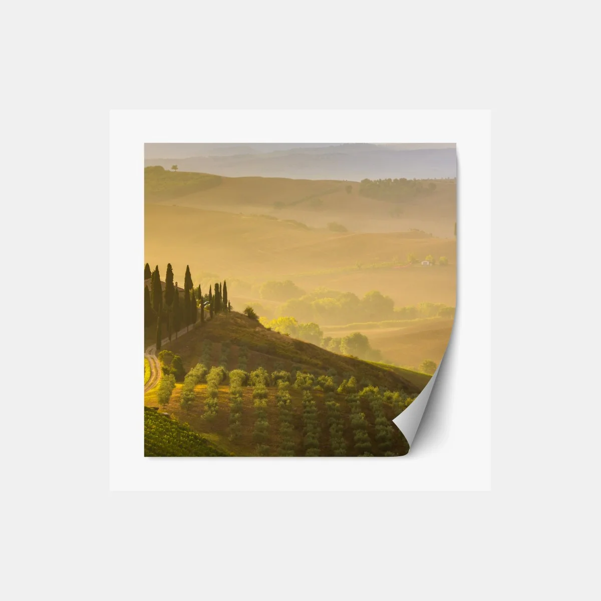 Repositionierbarer Aufkleber nebliger morgen über Val d'Orcia – Wallnifity® Repositionierbarer Aufkleber nebliger morgen über Val d'Orcia – Wallnifity®