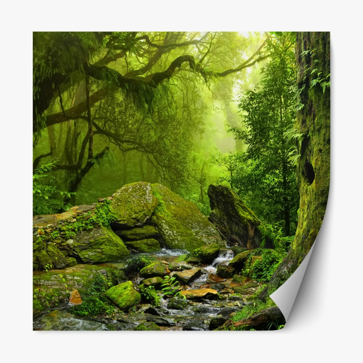 Repositionierbarer Aufkleber moosbedeckter waldbach – Wallnifity® Repositionierbarer Aufkleber moosbedeckter waldbach – Wallnifity®