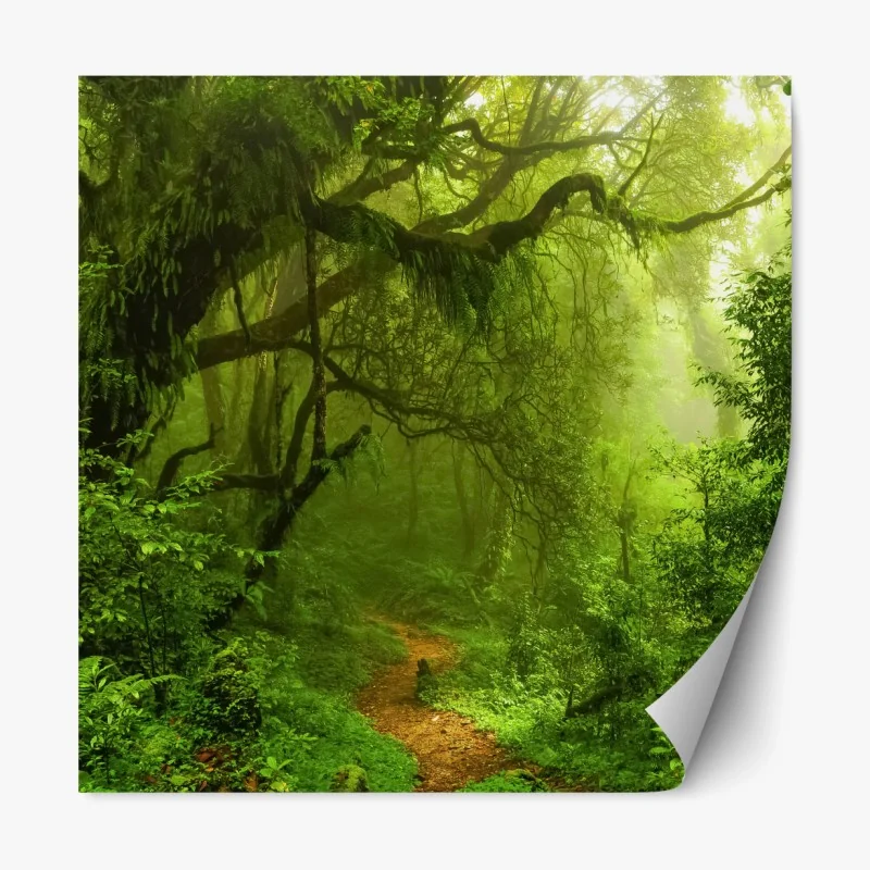 Repositionierbarer Aufkleber aquarell himbeermuster – Wallnifity®