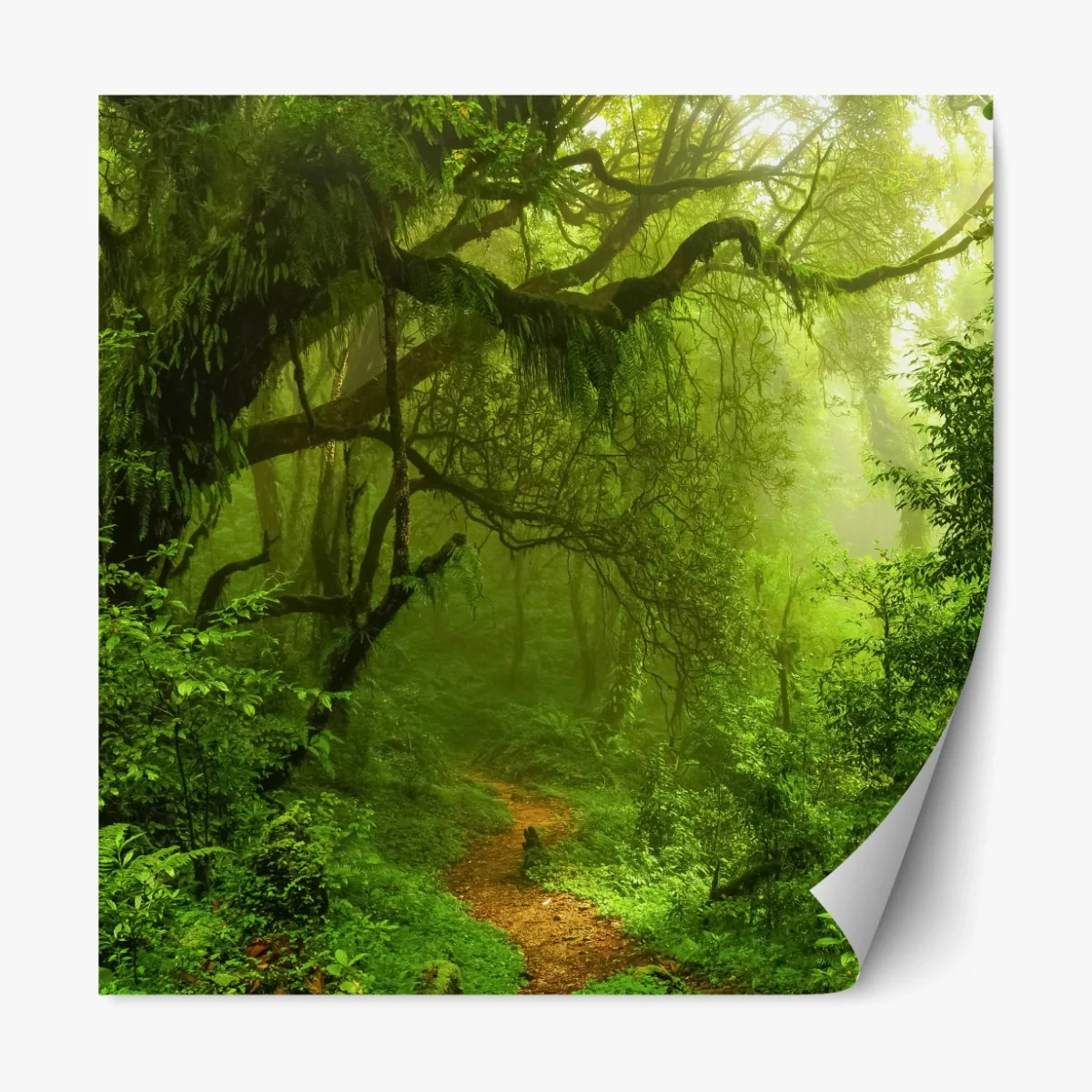 Repositionierbarer Aufkleber üppiger grüner waldpfad – Wallnifity®