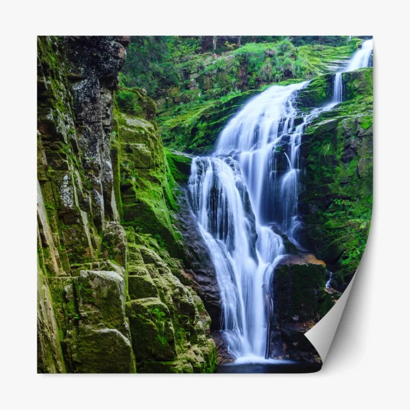 Repositionierbarer Aufkleber verspieltes pfotenmuster – Wallnifity®