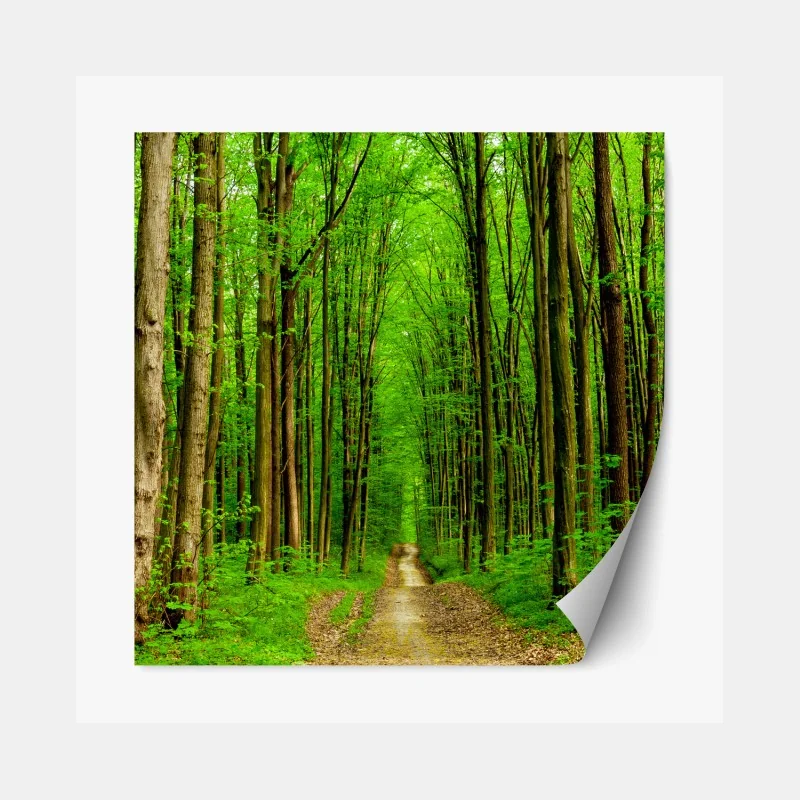 Repositionierbarer Aufkleber sonnenaufgang über einem nebligen bergrücken mit steinweg – Wallnifity®