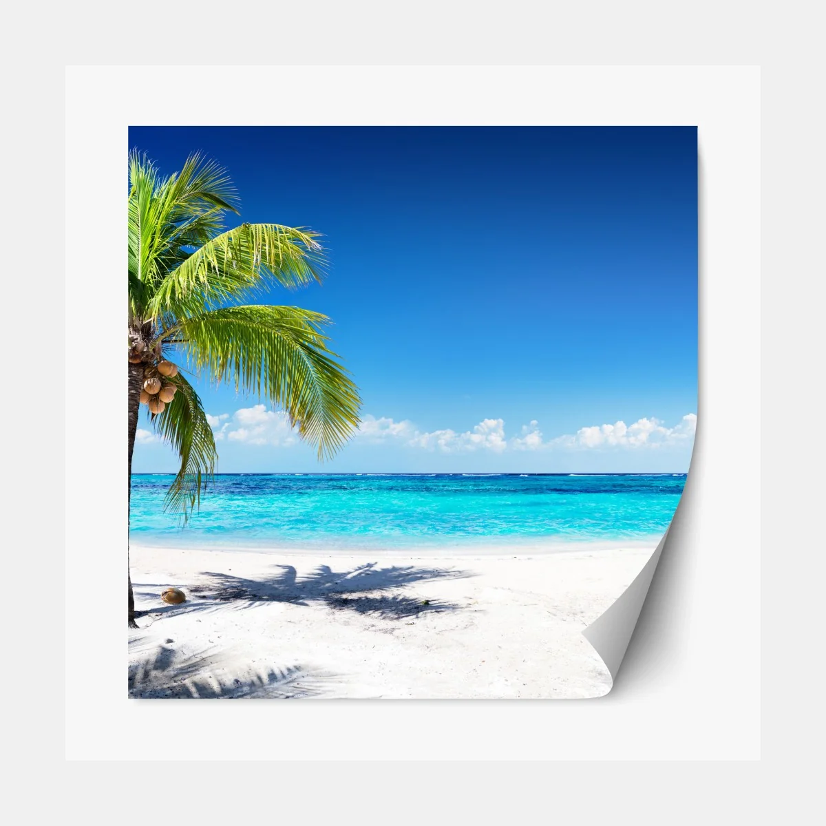 Repositionierbarer Aufkleber tropische palme an einer türkisfarbenen bucht – Wallnifity®