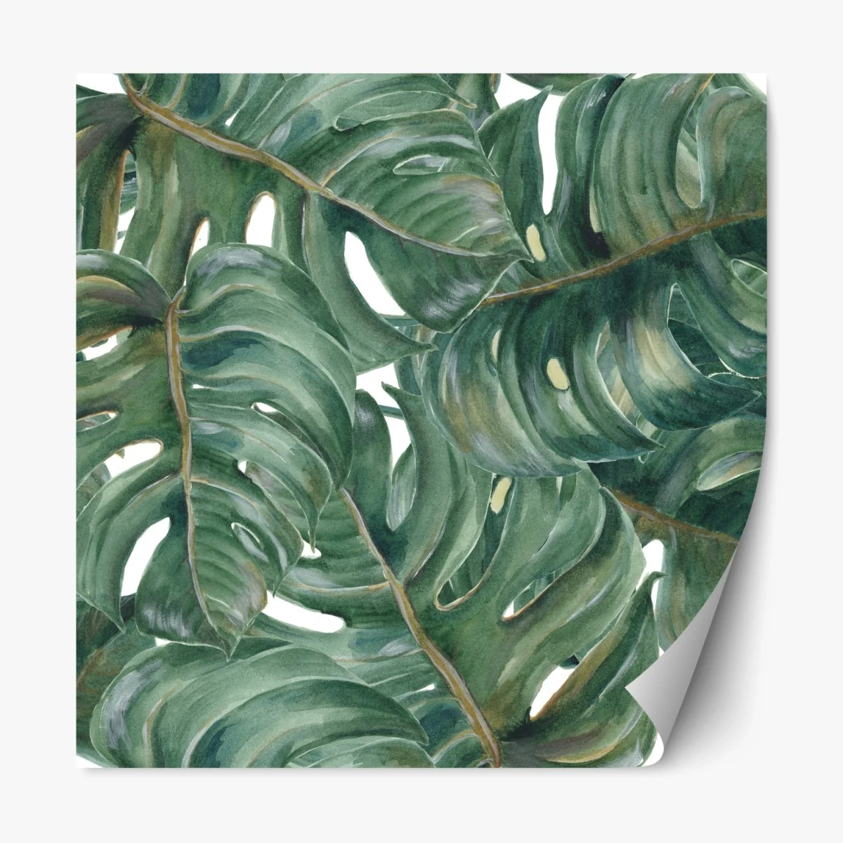 Repositionierbarer Aufkleber monstera blätter in aquarell – Wallnifity® Repositionierbarer Aufkleber monstera blätter in aquarell – Wallnifity®