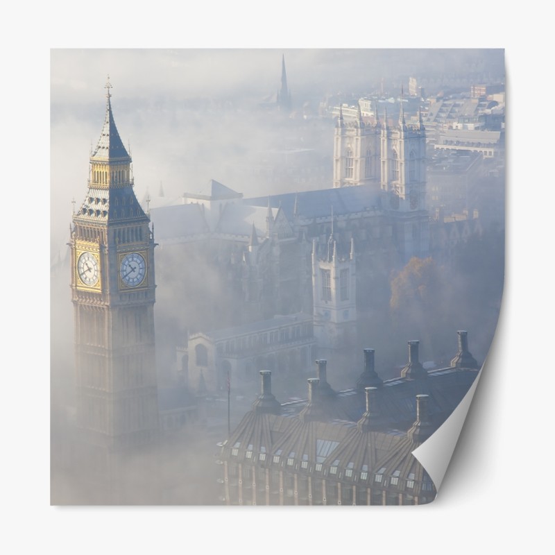 Repositionierbarer Aufkleber lebendige grüne honigfresser auf moos – Wallnifity®