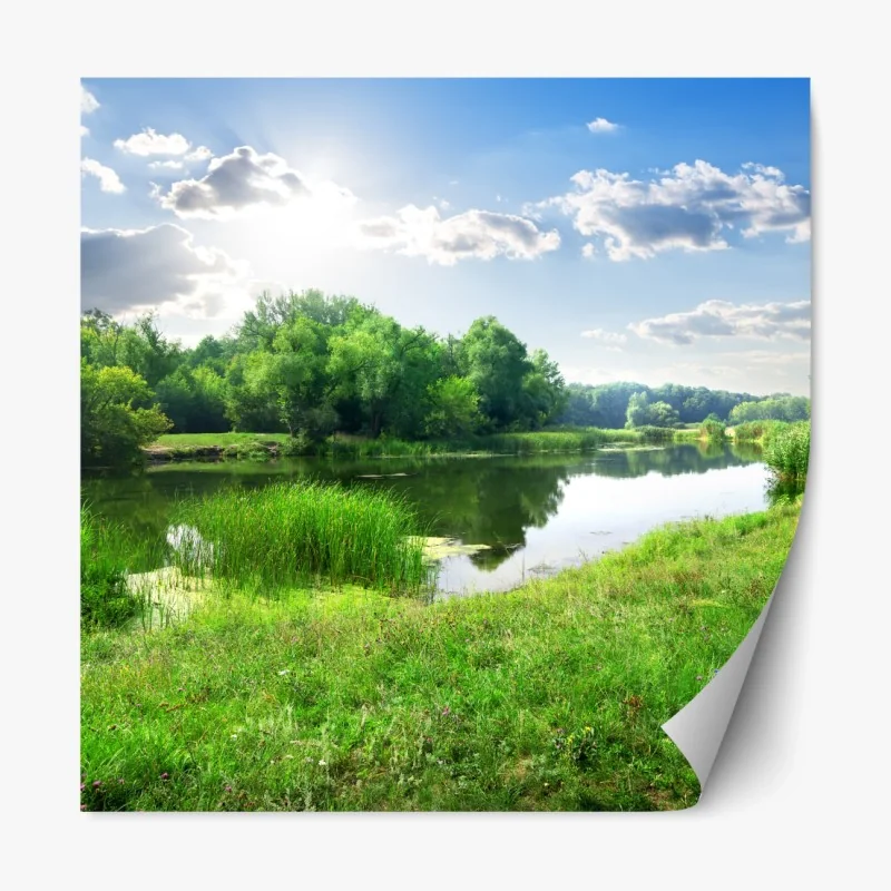 Repositionierbarer Aufkleber zeitgenössisches korallenrosa architekturmotiv – Wallnifity®