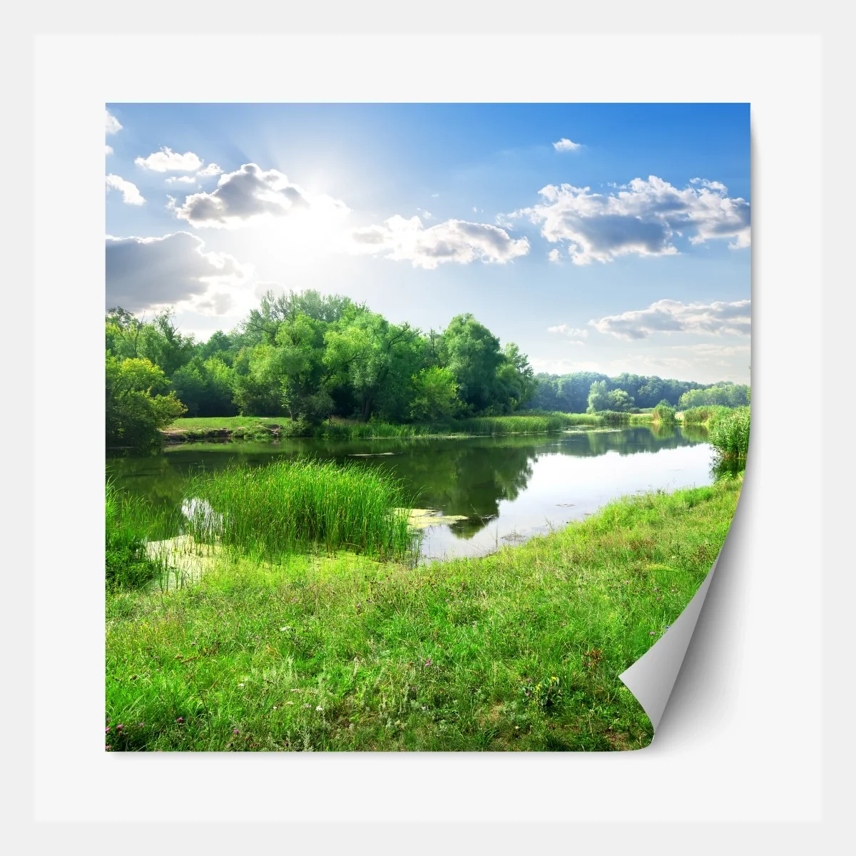 Repositionierbarer Aufkleber sonnige wiese am fluss – Wallnifity® Repositionierbarer Aufkleber sonnige wiese am fluss – Wallnifity®