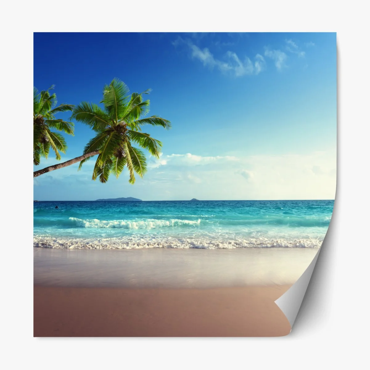 Repositionierbarer Aufkleber tropischer Karibikstrand bei sonnenuntergang – Wallnifity®