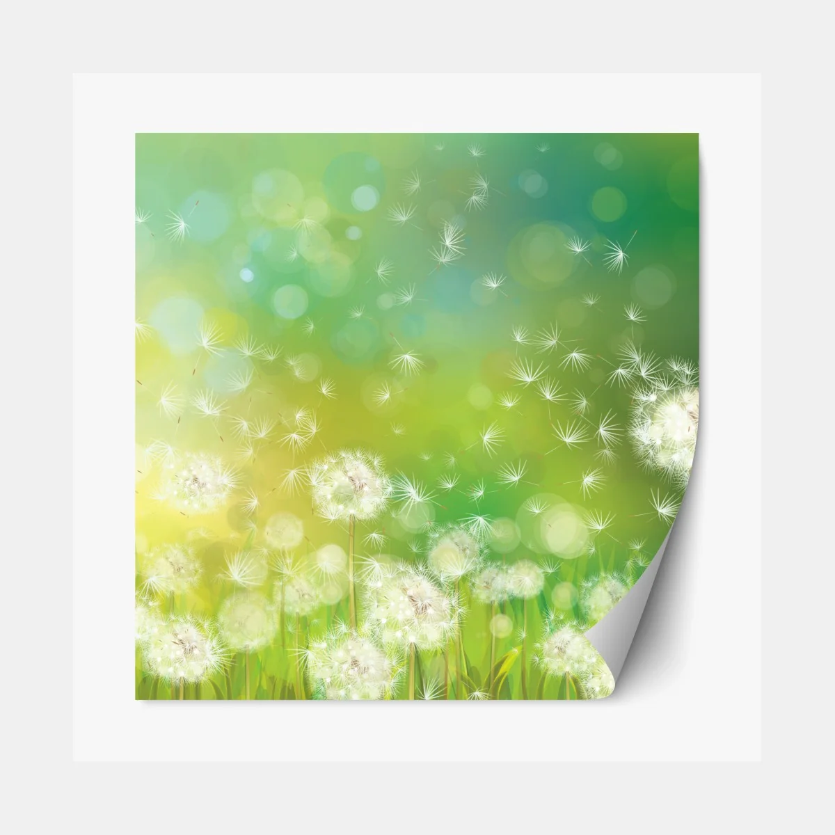 Repositionierbarer Aufkleber frühlingswiese mit löwenzahn – Wallnifity®