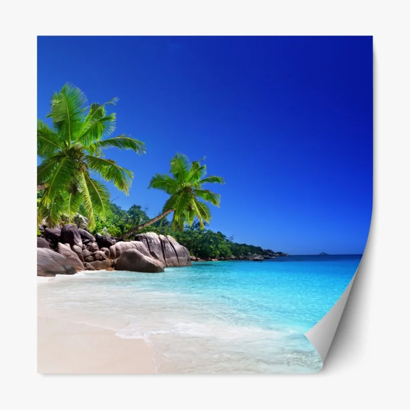 Repositionierbarer Aufkleber nebliger grüner waldpfad – Wallnifity®