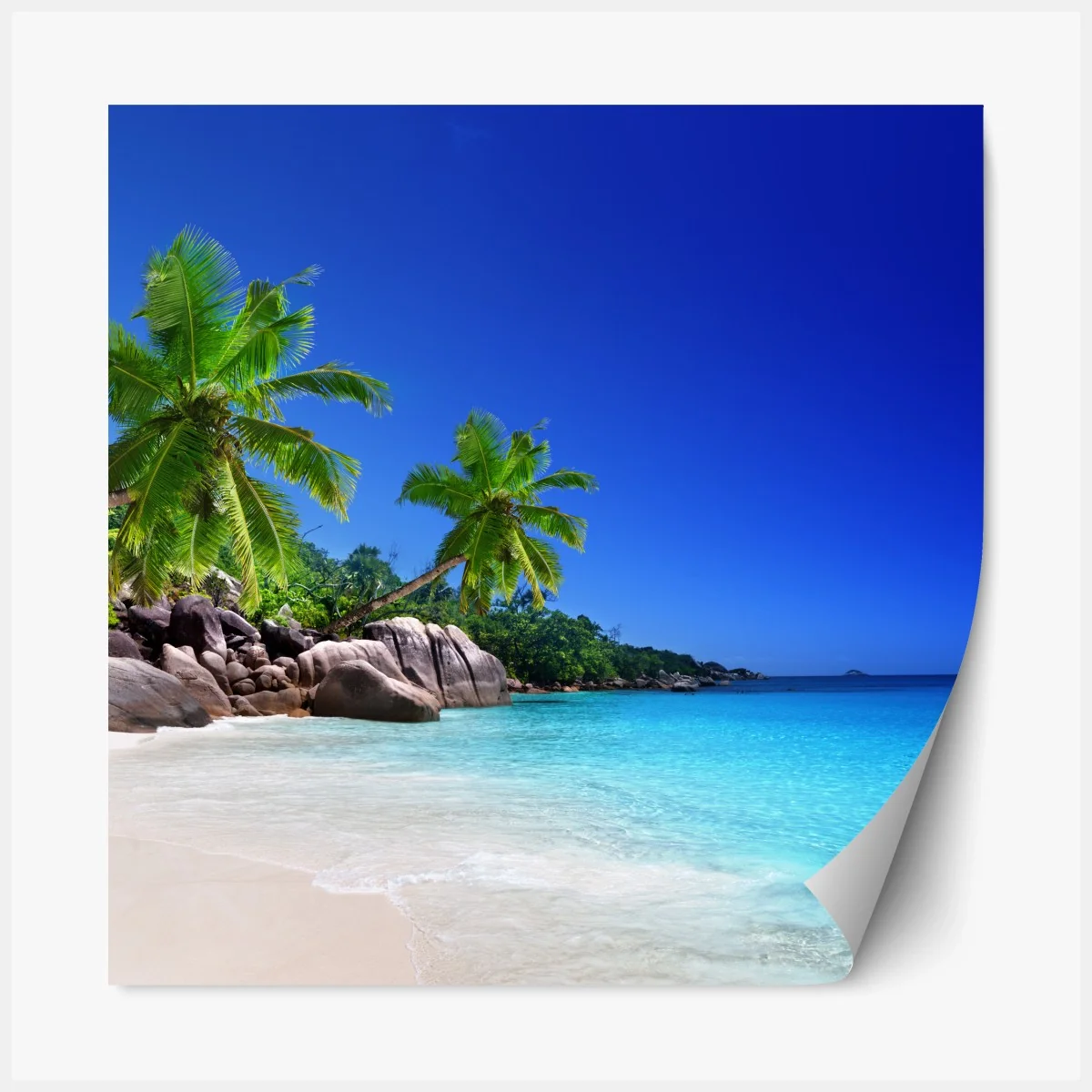 Repositionierbarer Aufkleber tropischer strand mit türkisfarbenem wasser und palmen – Wallnifity®