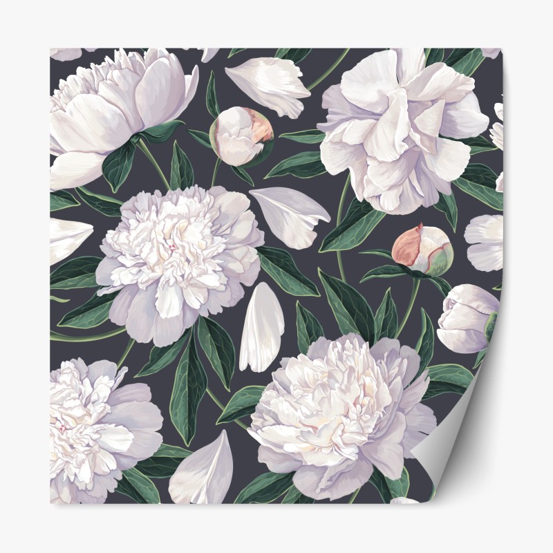 Repositionierbarer Aufkleber sonnenbeschienenes rapsfeld im abendlicht – Wallnifity®