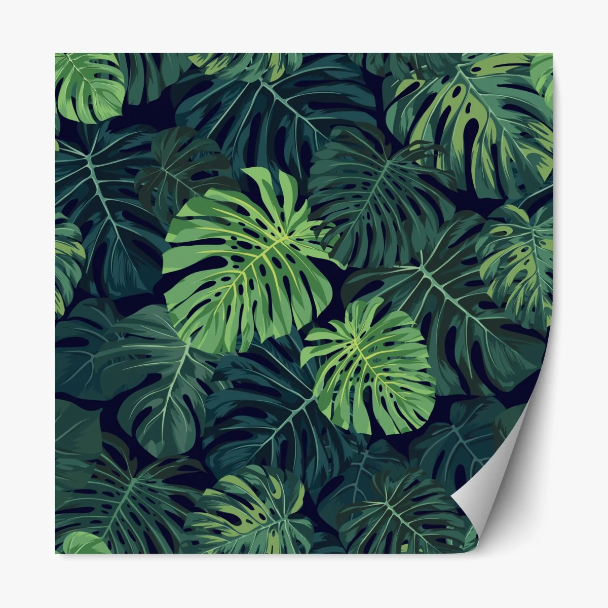 Repositionierbarer Aufkleber tropisches monstera-blattmuster – Wallnifity®