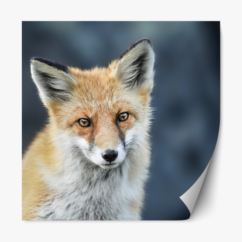 Repositionierbarer Aufkleber Assos küstenblick, Kefalonia – Wallnifity®