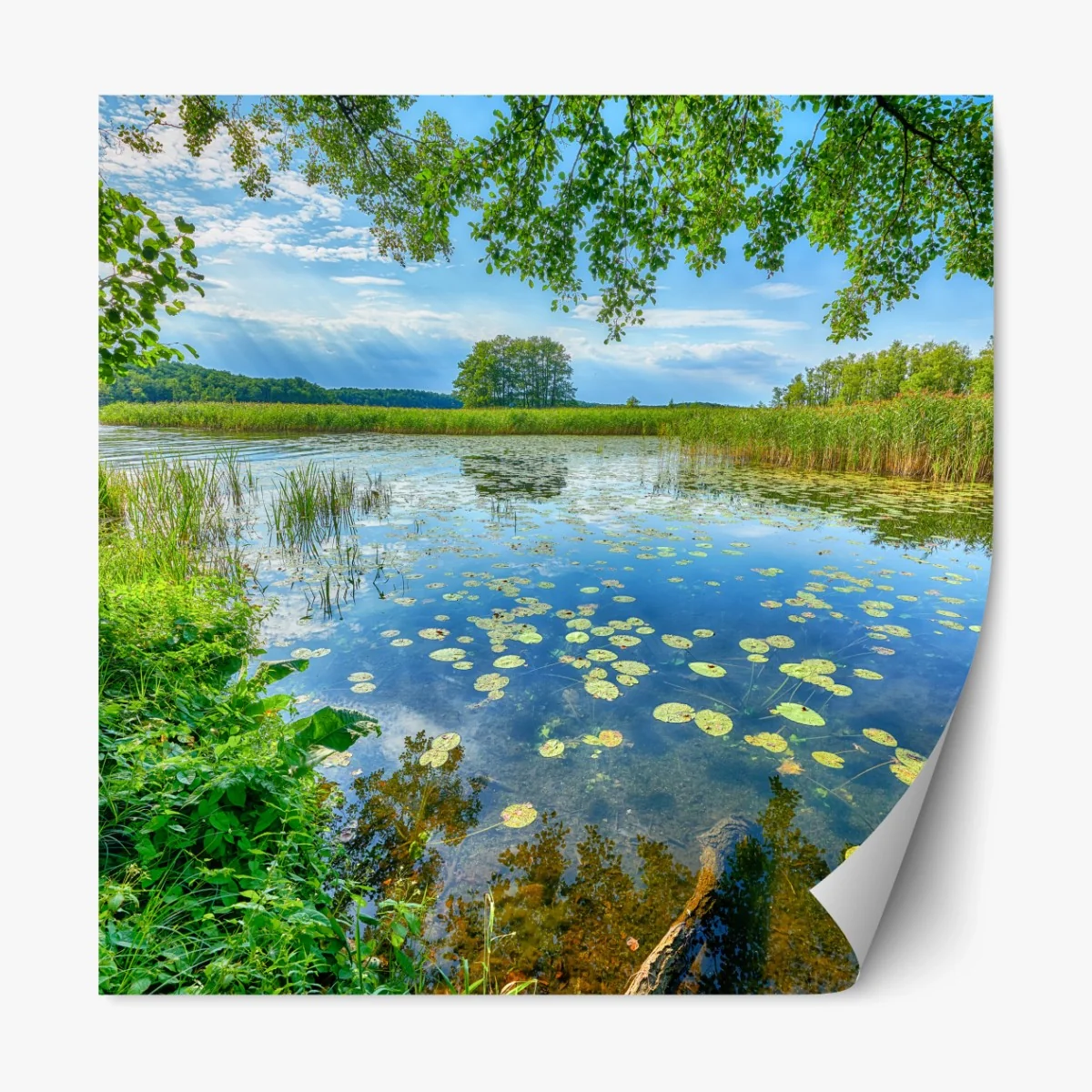 Repositionierbarer Aufkleber sommer am Masurensee – Wallnifity®