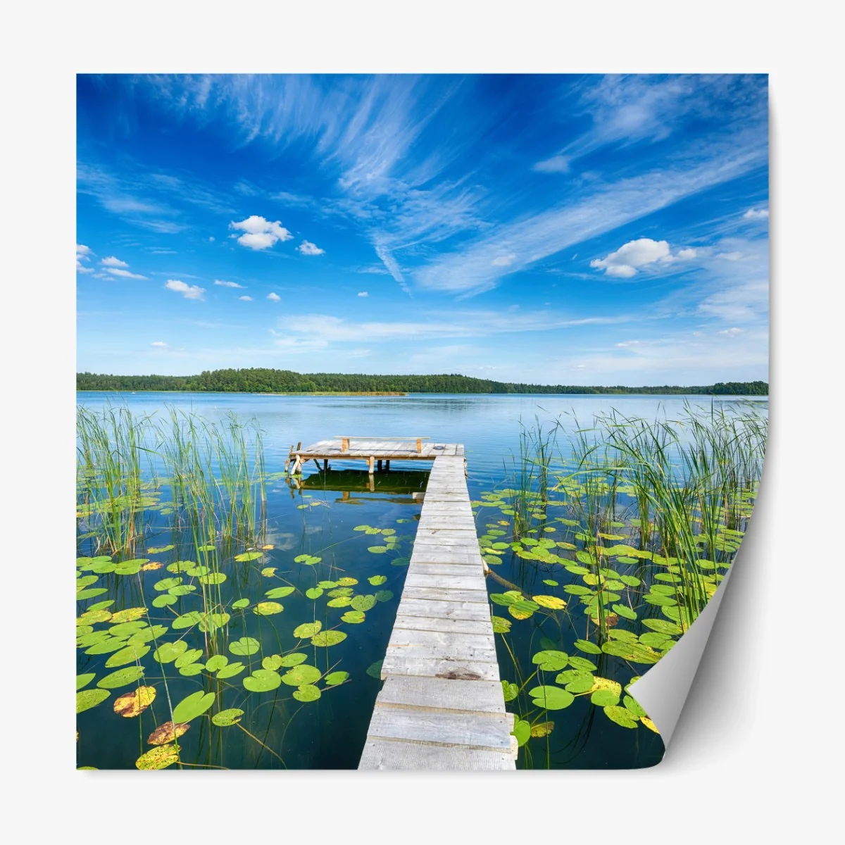 Repositionierbarer Aufkleber steg in Masuren im sommer – Wallnifity® Repositionierbarer Aufkleber steg in Masuren im sommer – Wallnifity®