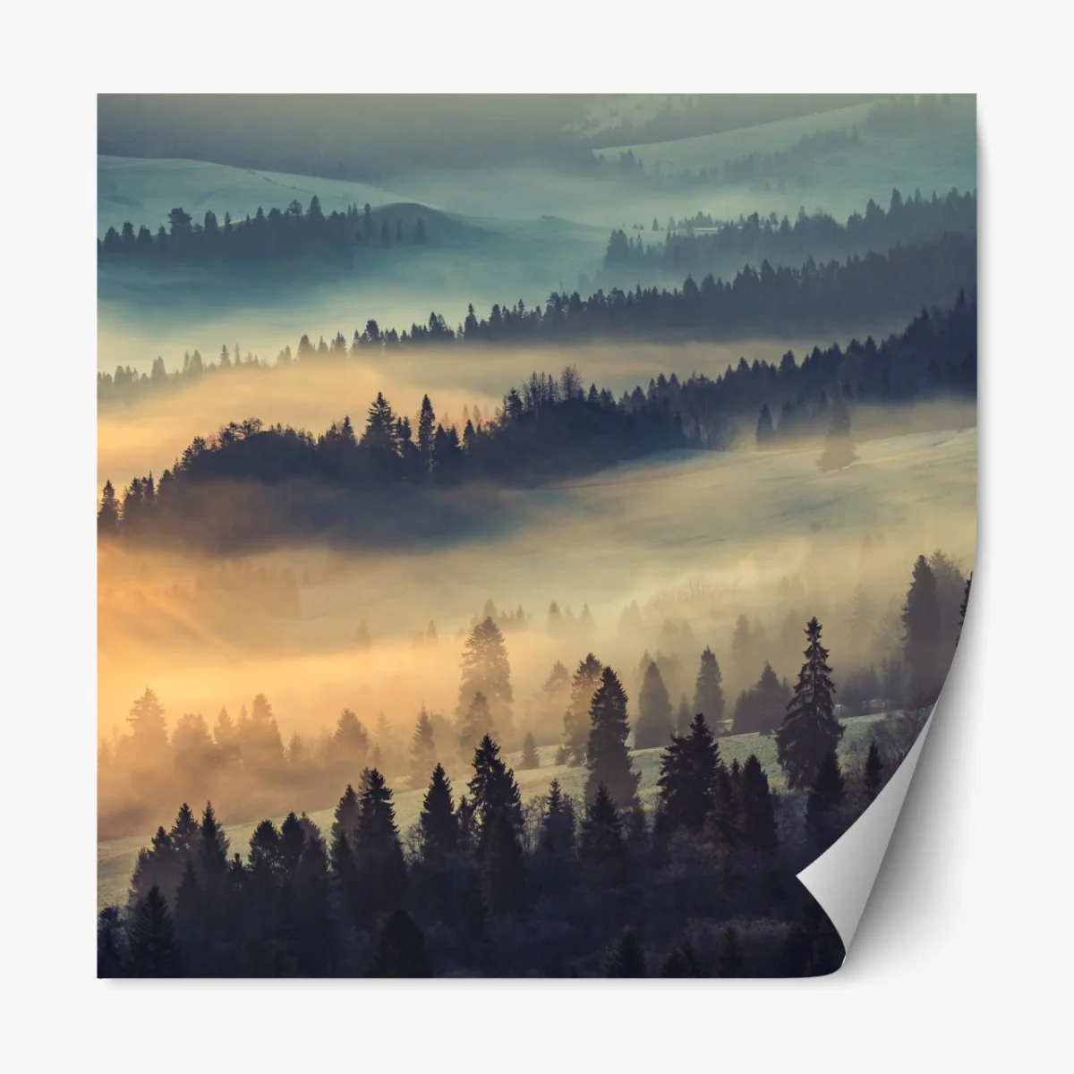 Repositionierbarer Aufkleber nebliger bergwald im sonnenaufgang – Wallnifity®