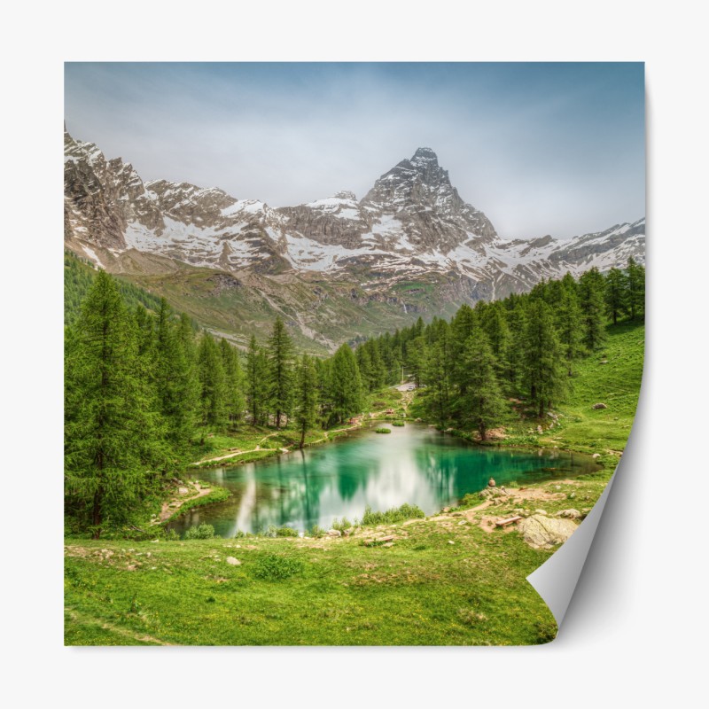 Repositionierbarer Aufkleber nebeliger goldener sonnenaufgang über waldsee – Wallnifity®