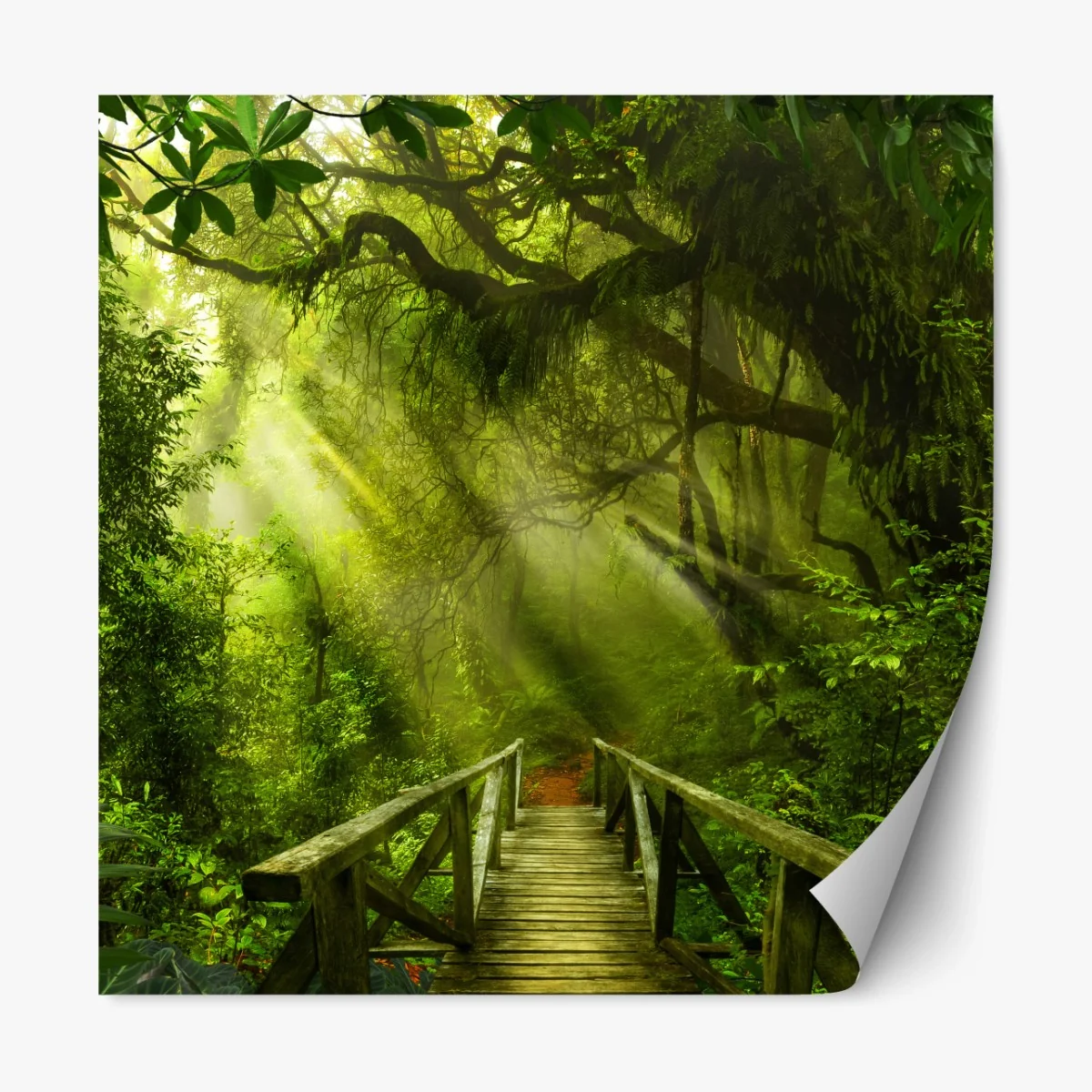 Repositionierbarer Aufkleber sonnenbeschienener waldweg – Wallnifity®